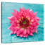 Harnek magnifique fleur rose