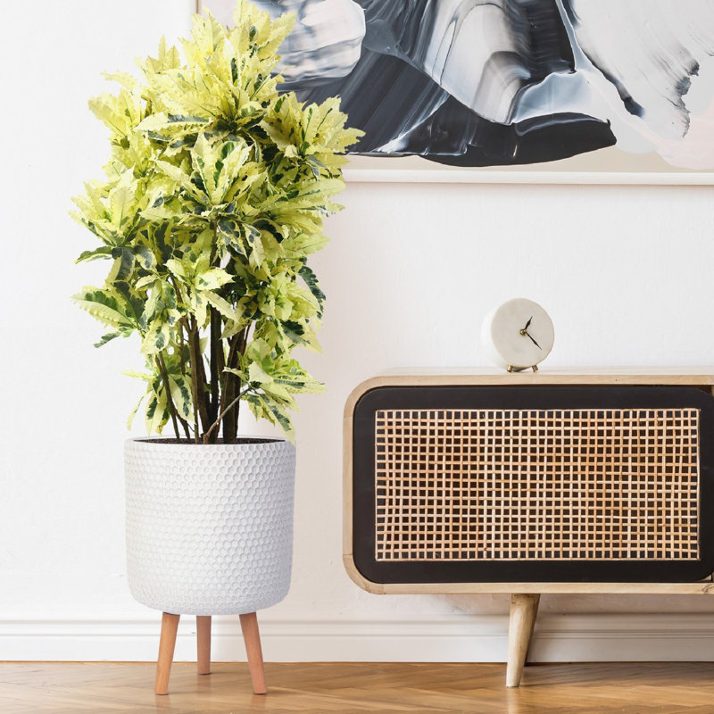 Concrete Effect Cylinder Round Planter on Hardwood Legs, Round Indoor Plant Pot Stand for Indoor Plants, Indoor Flower Pot with Honeycomb Pattern
