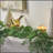5.5' LEAVES GARLAND