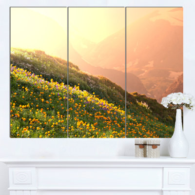 « fleuring mountain prevision », ensemble de 3 reproductions de photos sur toiles tendues