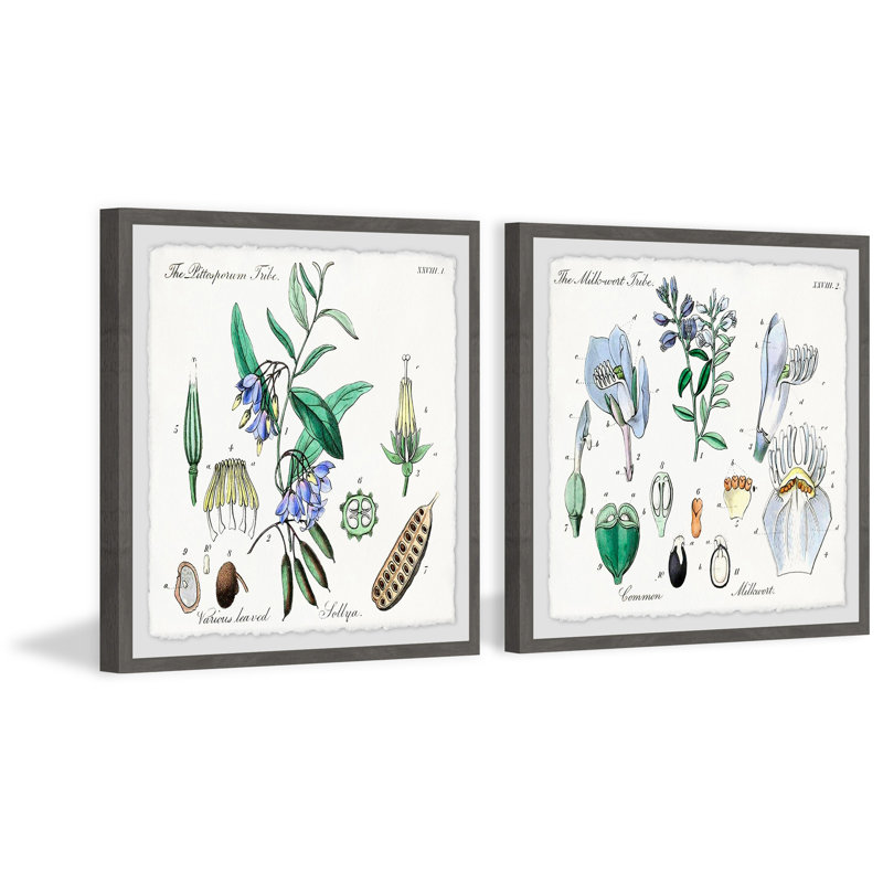 « we is bellflowers diptych », ensemble de 2 reproductions d’art encadrées, H 12 po x l 12 po x P 1,5 po
