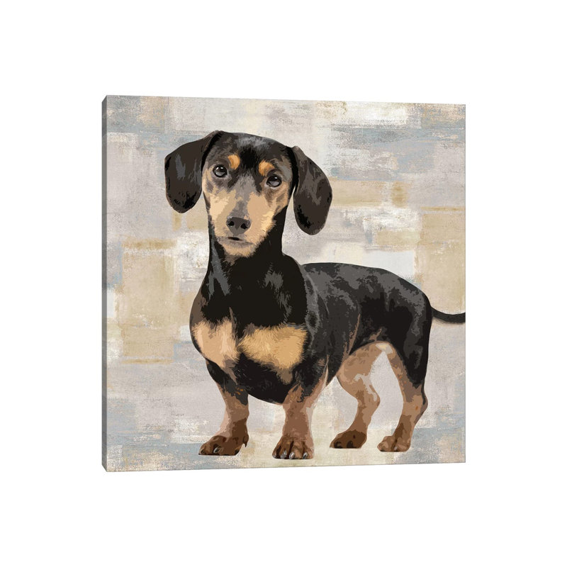 Dachshund 1 Piece Wrapped Canvas Wall Art, 93.98 cm H x 93.98 cm W