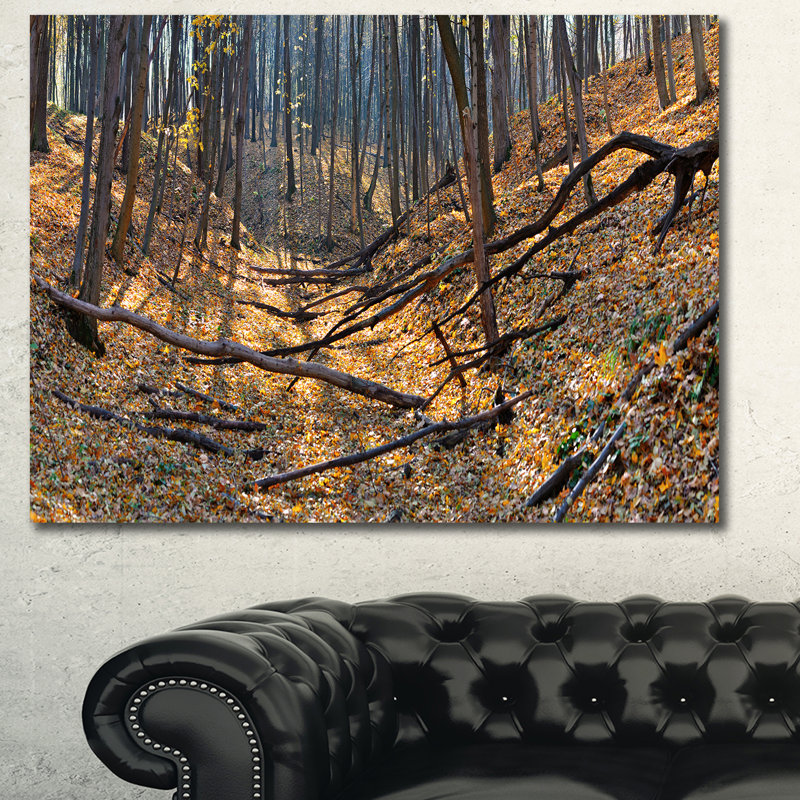 « thick automne forest panorama », reproduction de photo sur toile tendue, H 30 po x l 40 po x P 1 po
