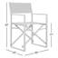 Sunset Director Chair-301499527