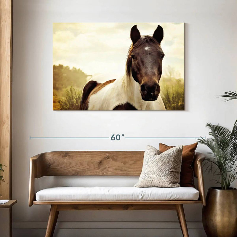 Brampt Horse Pasture, H 30 po x l 45 po