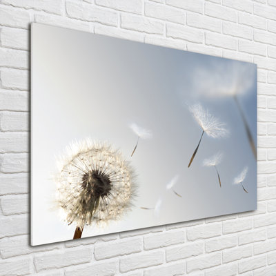 Dandelion - No Frame Print on Glass