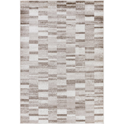 Jayken Checkered Indoor Rug