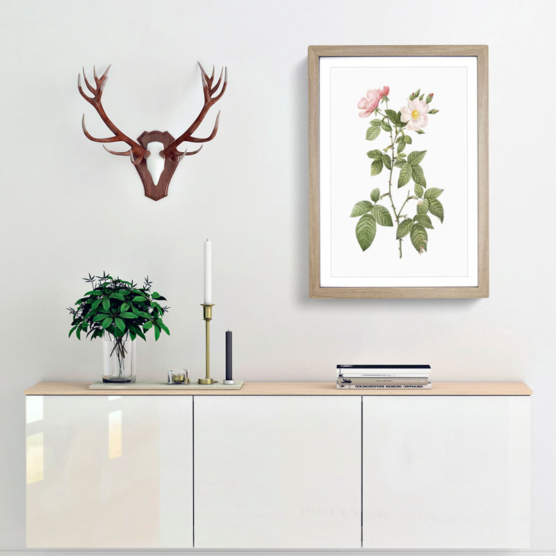 Redleaf Rose in Bloom by Pierre-Joseph Redoute - Picture Frame Painting Print, Oak Framed, 48cm H x 36cm W x 2cm D