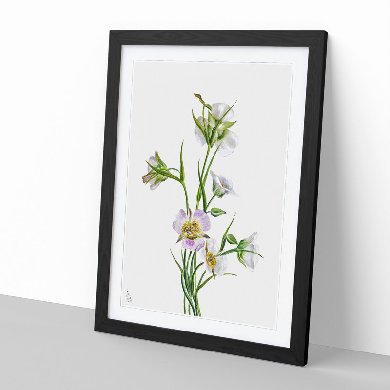 On the Road to Monument by Mary Vaux Walcott - Framed Print, 48cm H x 36cm W x 2cm D, Black Framed