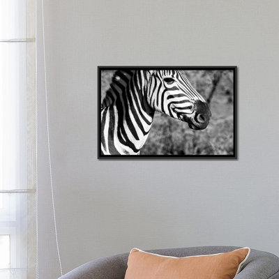 « isard south africa series », reproduction de photo sur toile tendue encadrée