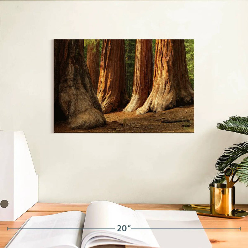 Harnek Ancient Sequoia Trees, 8" H x 12" W