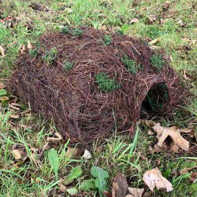 Kyan Freestanding Hedgehog House