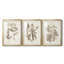 Antique sépia botanicals VI - reproduction encadrée sur mesure de qualité supérieure - 3 pièces-1937865650-1937865654