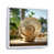 White Floater Framed