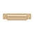 PVD Polished Brass