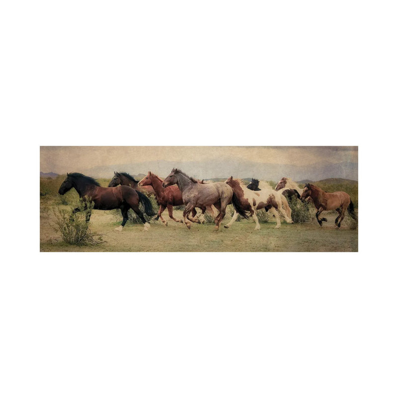 A Run Through the Desert 1 Piece Wrapped Canvas Panoramic Wall Art, 30.48 cm H x 91.44 cm W x 3.175 cm D