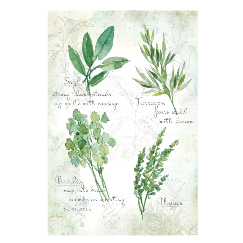 Fresh Herbs II by Carol Robinson - Wrapped Canvas Painting, 66.04 cm H x 45.72 cm W x 1.91 cm D
