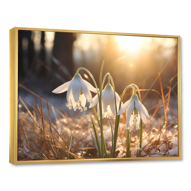 " Snowdrops Sunrise In Winter " Print, Gold Floater Framed, 24" H x 32" W x 1" D
