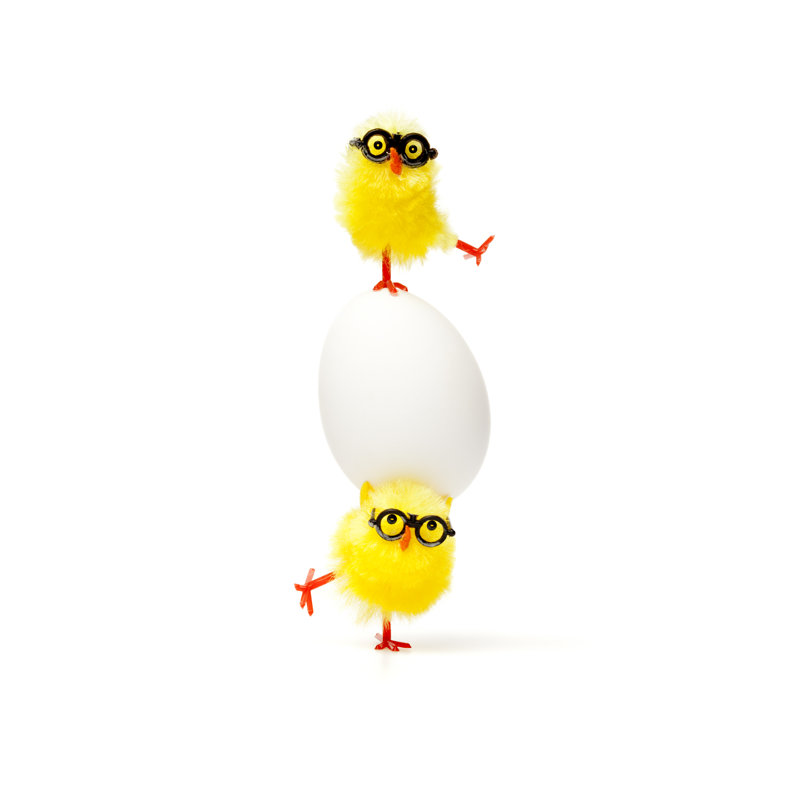 Chicks Balancing Act by ThomasVogel - No Frame Art Prints on Canvas, 30cm H x 20cm W