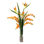 Sansevieria and Bird of Paradise Orchid Centerpiece in Vase