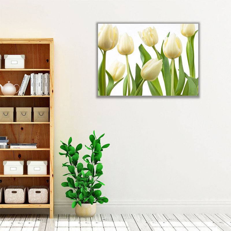 Tulip Flowers - Canvas Print Wall Art, 36" H x 48" W