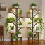 8-Tier Plant Stand Indoor With Grow Lights