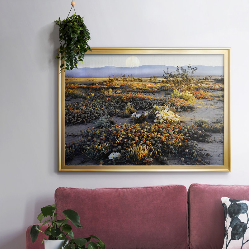 Anza Borrego Desert, reproduction d'art sur toile, H 14 po x l 20 po x P 1,5 po, Or