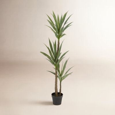 61'' Faux Dracaena Tree in Planter