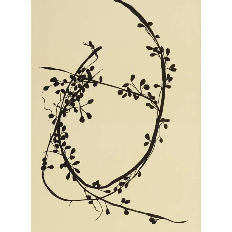 From The VIne C Print by Hable Construction, 21'' H x 16'' W