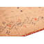 Pieternel Oriental Area Rug in Brown