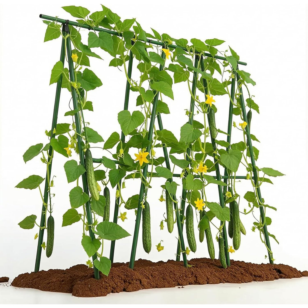 270cm H x270m W Steel Arched Trellis for Cucumber Climbing Plants Tomatoes Peas