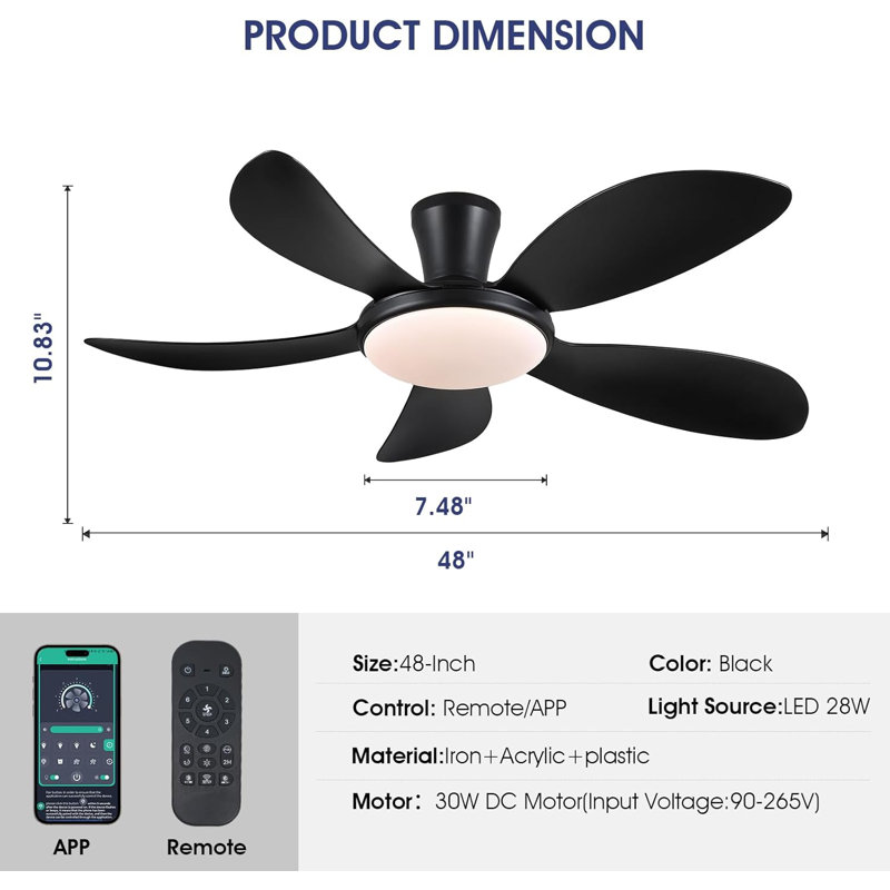 Ventilateur, Noir