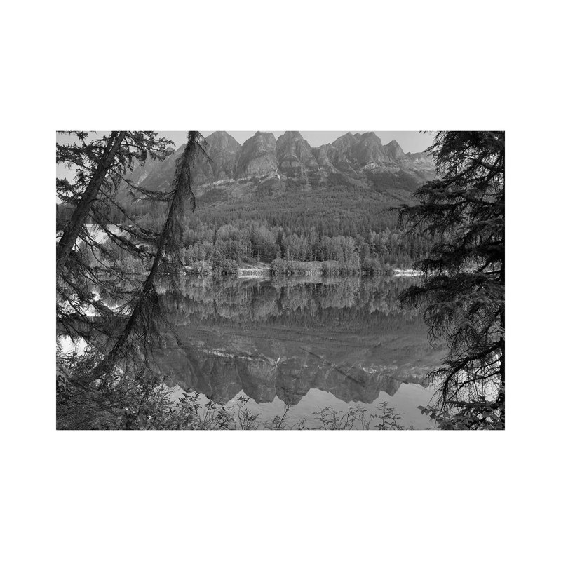 Yellowhead Mountain And Yellowhead Lake With Boreal Forest, Mount Robson Provinvial Park by Tim Fitzharris - Gallery-Wrapped Canvas Giclée on Canvas