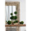 Topiaire buis-1293450512