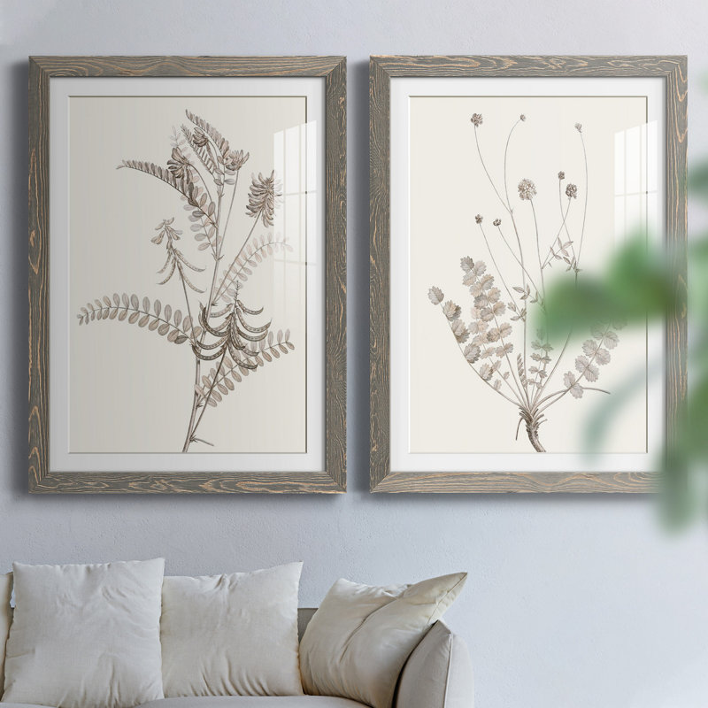 «Neutral Botanical Study VIIP», reproduction d'art encadrée - prête à être accrochée, H 31,5 po x l 47 po x P 1,5 po, Blanc