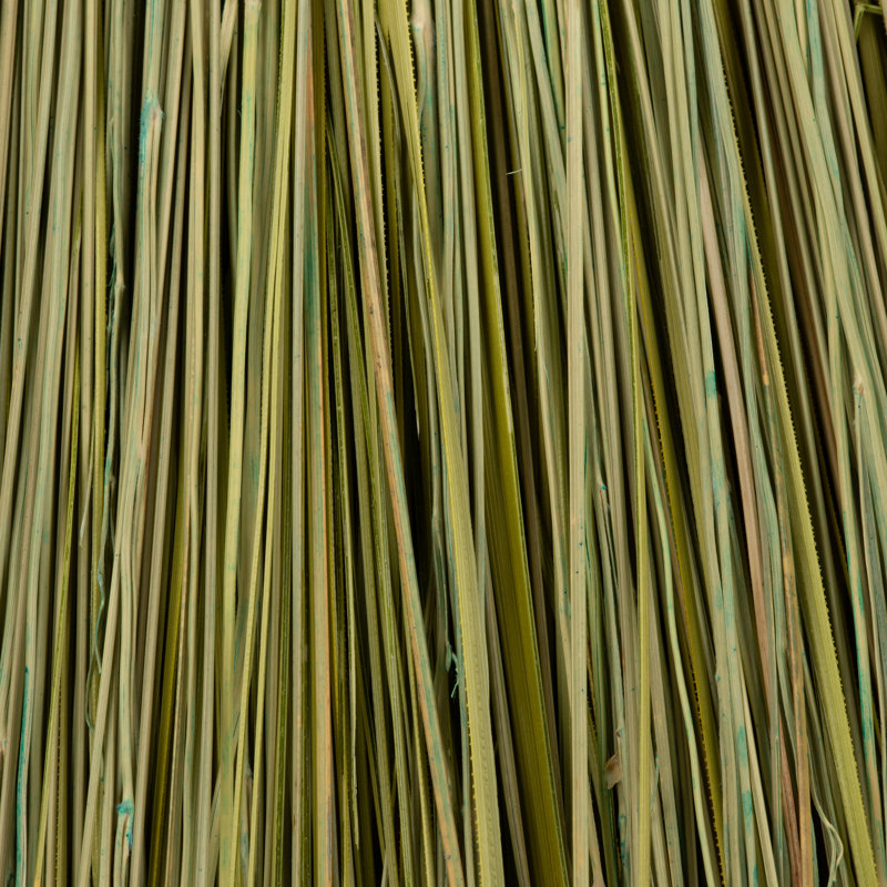 Paille à brosse à maïs