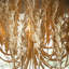 Kaia 6 - Light Chandelier