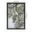 Coastal Forest by Shot by Clint Wood Framed Wall Art Print-610482413-610482387