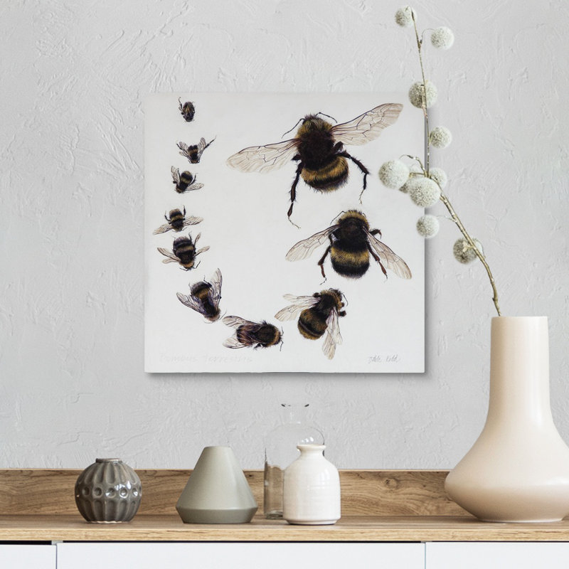 Bombus, 2015 - reproduction d'art, H 12 po x l 12 po x P 1,25 po, Toile tendue