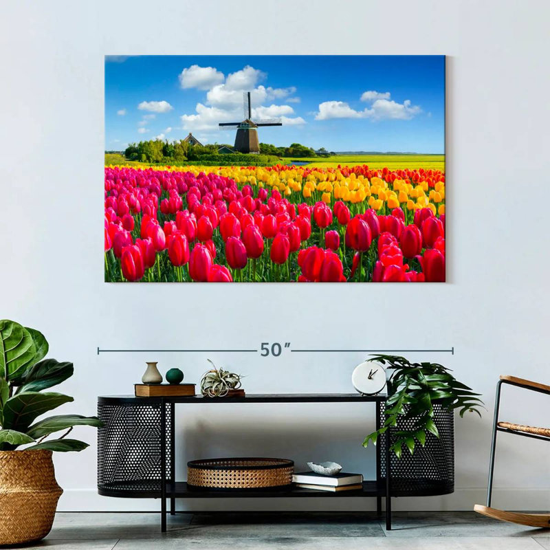 Champ de tulipes Alvord Holland, H 32 po x l 48 po