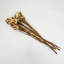 Bundle of 4 Dried Preserved Myosotis Forget-Me-Nots Bouquets 21"-111078519