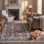 Tapis Selwyn traditionnel surteint uni gris ivoire beige, lavable en machine, antidérapant, à poils courts, pour intérieur et extérieur, adapté aux animaux domestiques, idéal pour le salon, la chambre, la salle à manger, l'entrée, le corridor ou le bureau.-1964245075