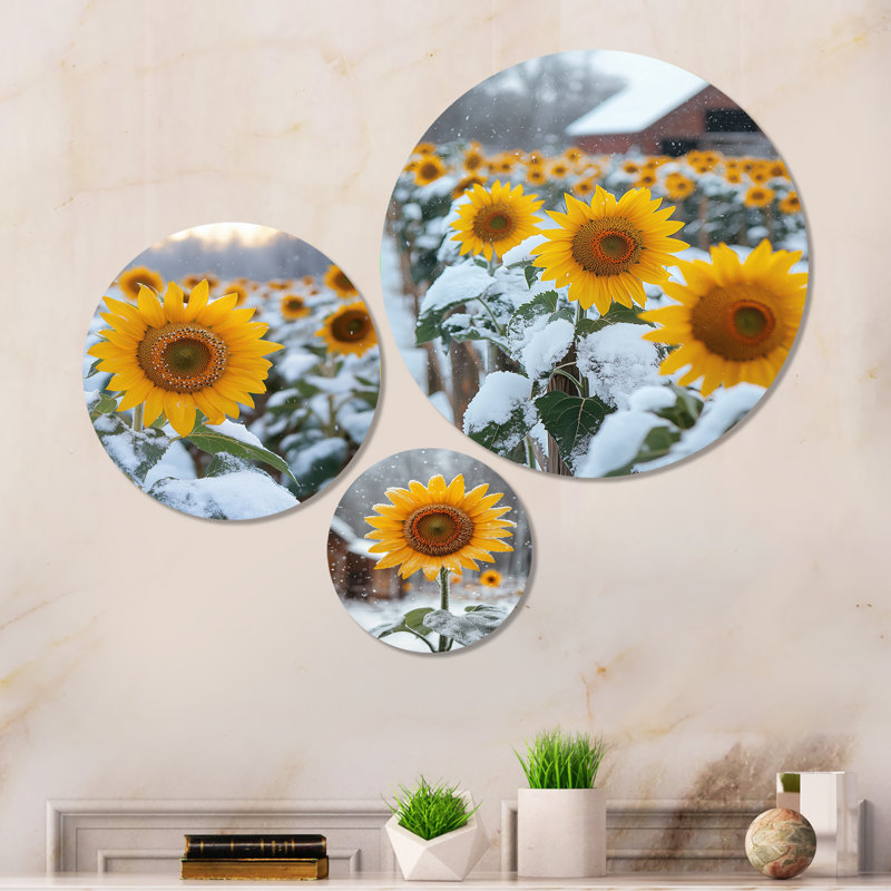 «Country Side Sunflowers In A Snowy Barnyard I», impression d'art mural en métal 3 pièces