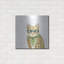 Métal luxueux «Cool Cat IV» par Grace Popp, métal «Cool Cat IV» par Grace Popp-101674089