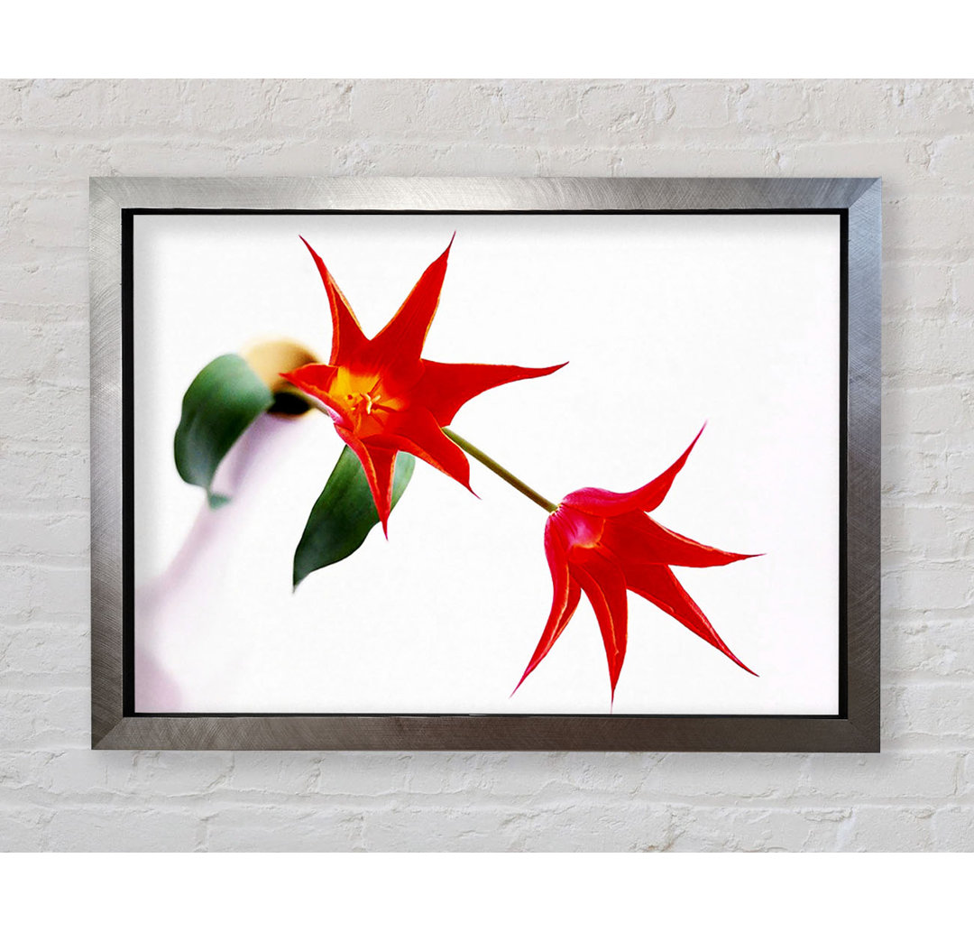 Gerahmtes Wandbild Twin Fire Tulip Centre