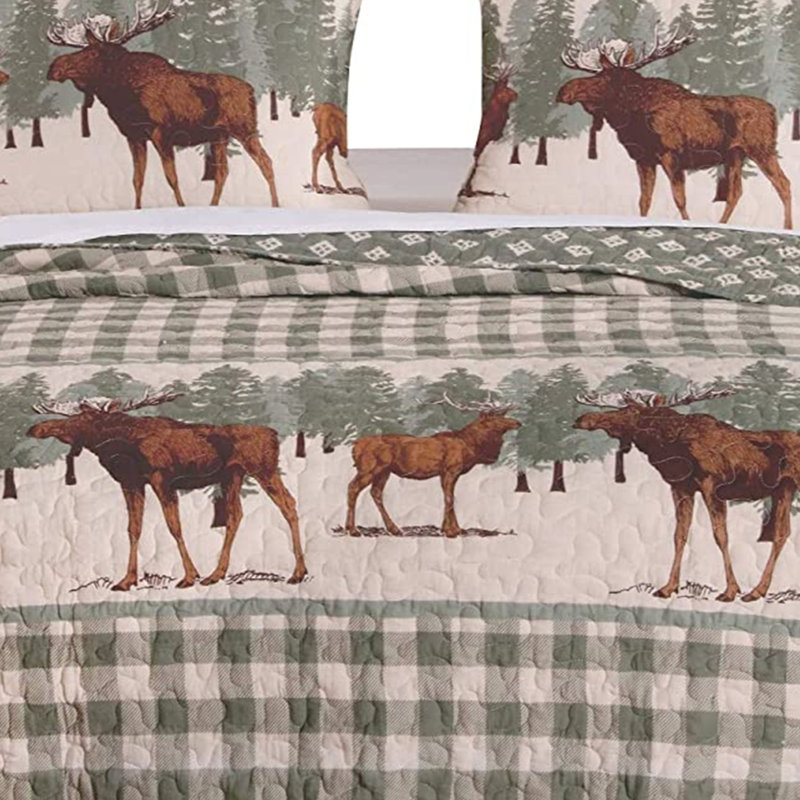  Green/Brown Microfiber Reversible Quilt Set, King Quilt + 2 Shams
