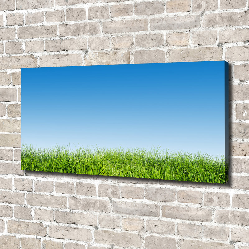Grass - Wrapped Canvas Print