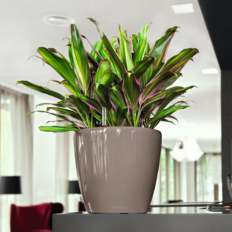 Classico Pot Planter, Taupe