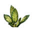 47 "plante à feuilles persistantes artificielle d'intérieur, verdure artificielle avec feuilles en pot, plancher décoratif chaud