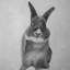 " Funny Grey Rabbit " on Canvas-1756306415-1756306413